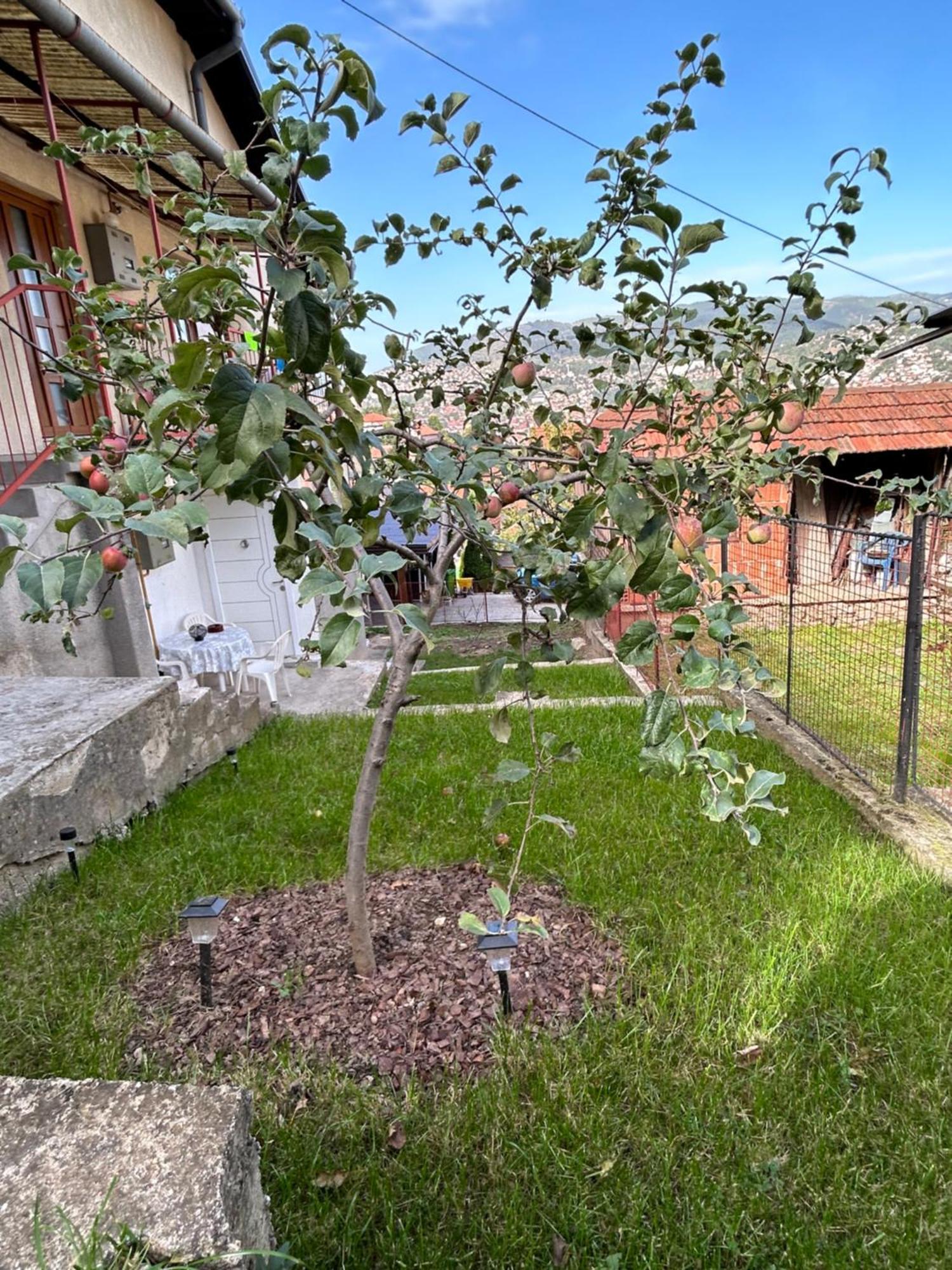 The Heart Of Sarajevo Apartment Ngoại thất bức ảnh